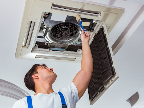 Labor Contractor